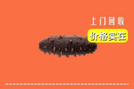七台河桃山区回收海参