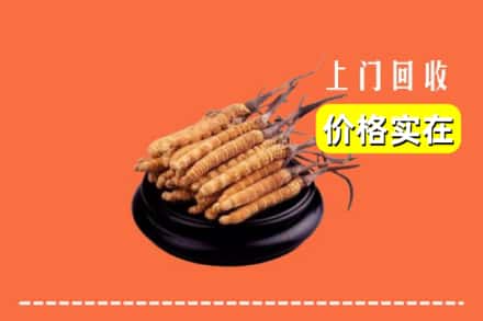 七台河桃山区回收冬虫夏草
